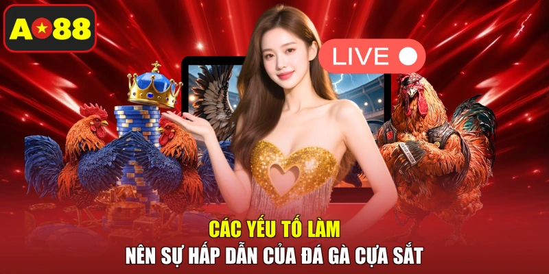 Các yếu tố làm nên sự hấp dẫn của đá gà cựa sắt 