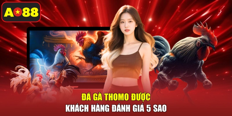 Đá gà thomo được khách hàng đánh giá 5 sao
