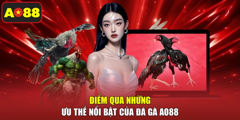Điểm qua những ưu thế nổi bật của đá gà AO88