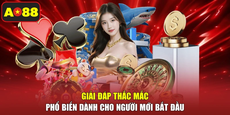 Giải đáp thắc mắc phổ biến dành cho người mới bắt đầu