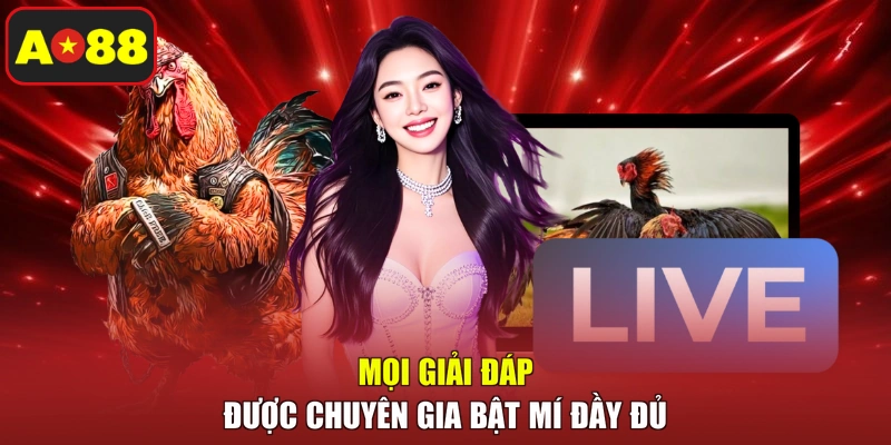 Mọi giải đáp được chuyên gia bật mí đầy đủ